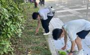 外国语学院北校区61期团校实践活动